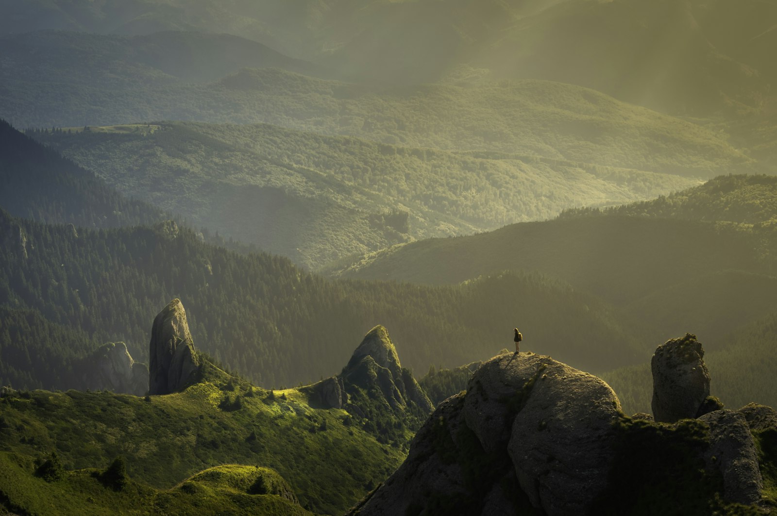 Travellers exploring nature