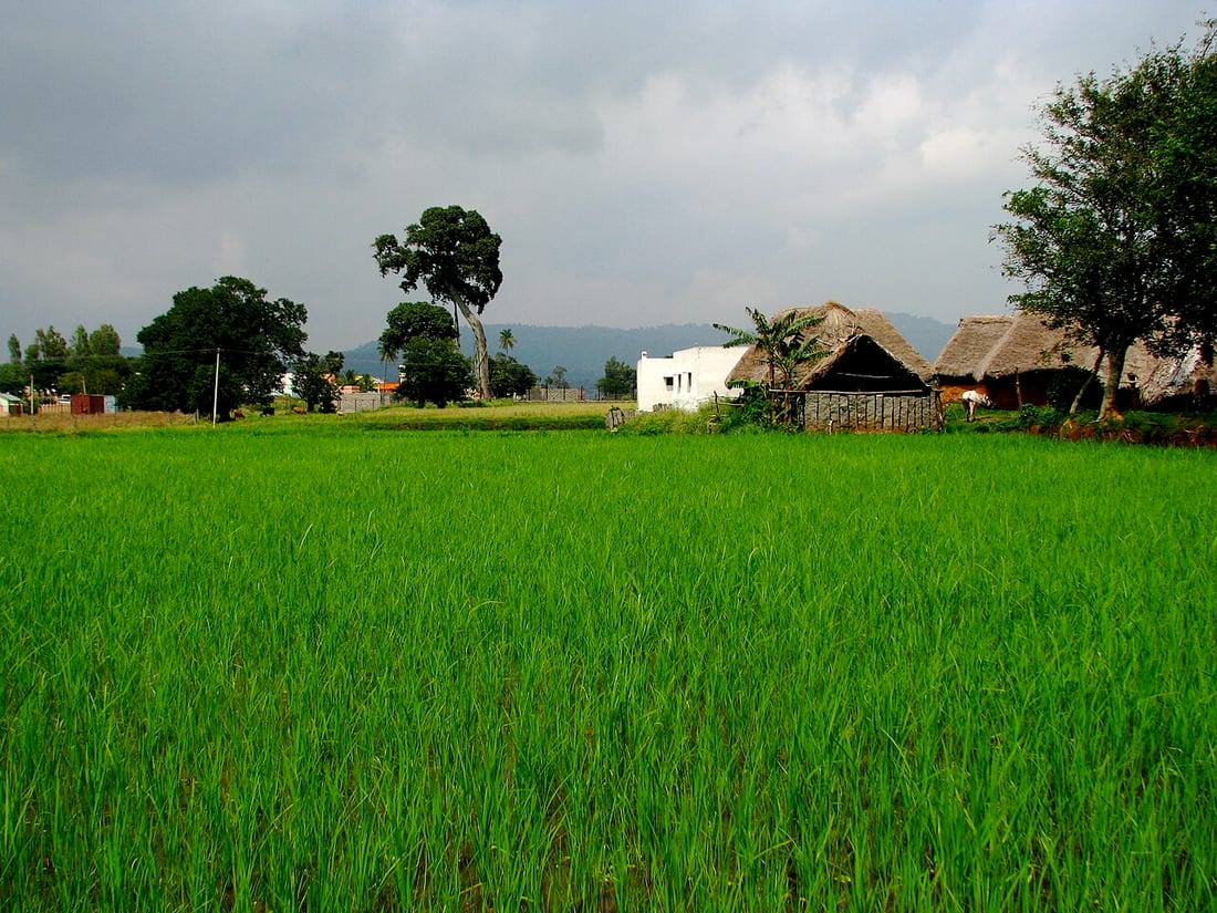Yelagiri Hills Weekend Escape